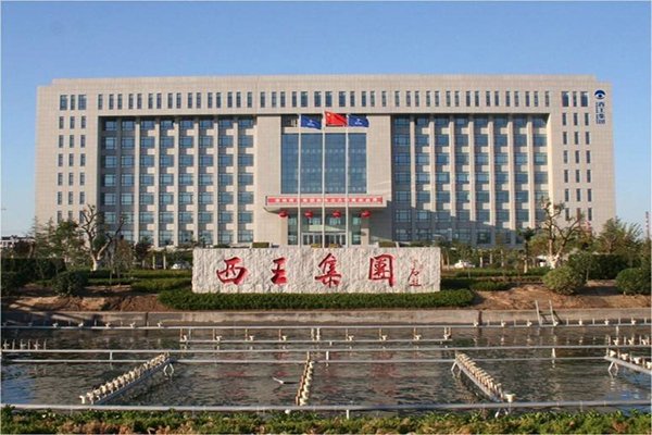 西王集团债券违约 西王集团债券违约