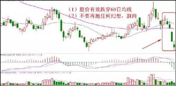 结汇汇率_慈星股份股票