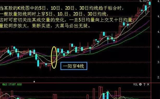 黑马选股指标公式