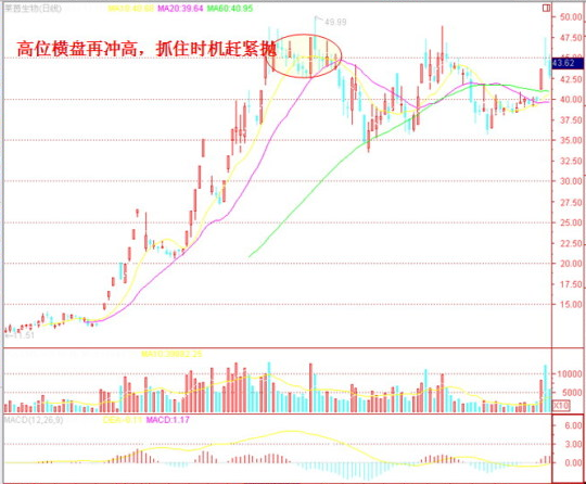 炒股有哪些技巧 新人必看五条口诀 炒股有601011股票哪些技巧 新人必看五条口诀